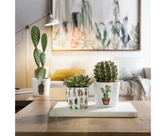 კერამიკული ქოთანი ყვავილებისთვის Scheurich 870/09 COVER-POT CACTUS GARDEN კერამიკული ქოთანი ყვავილებისთვის Scheurich 870/09 COVER-POT CACTUS GARDEN