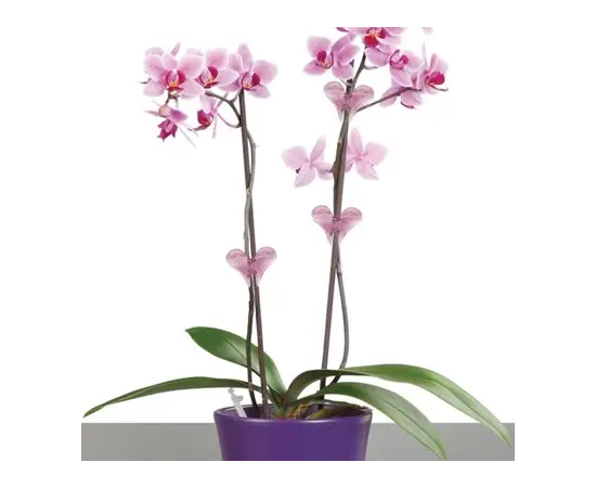 Опора для орхидей Scheurich 152/04 прозрачная Опора для орхидей Scheurich 152/04 прозрачная