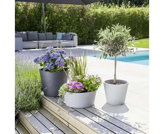 Горшок пластиковый Scheurich STONY BLACK 49/238 C-CONE 49 Горшок пластиковый Scheurich STONY BLACK 49/238 C-CONE 49