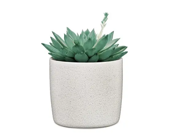 ქოთანი ყვავილის კერამიკული Scheurich 900/18 Perla 18x16.2 სმ ქოთანი ყვავილის კერამიკული Scheurich 900/18 Perla 18x16.2 სმ