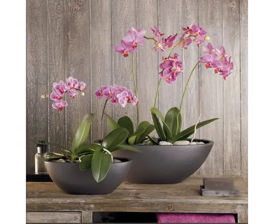 კერამიკული ქოთანი ორქიდეებისთვის Scheurich 430/30 ANTHRAZIT კერამიკული ქოთანი ორქიდეებისთვის Scheurich 430/30 ANTHRAZIT