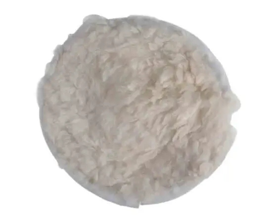 Polishing attachment Raider 209934 125 mm Polishing attachment Raider 209934 125 mm