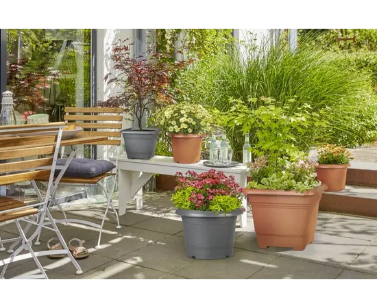 Горшок пластиковый Scheurich TERRACOTTA 40/326 PFLANZGEFAESS Горшок пластиковый Scheurich TERRACOTTA 40/326 PFLANZGEFAESS