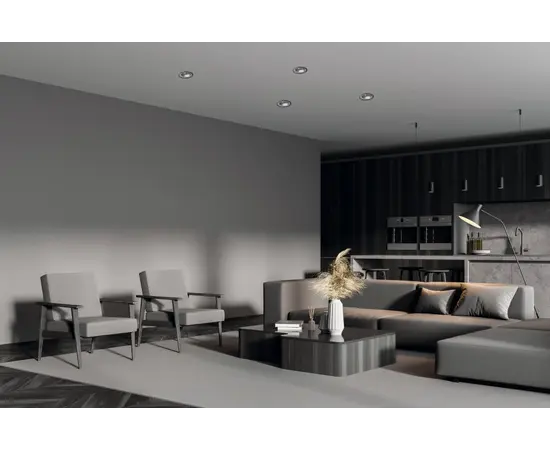 Светильник точка Kanlux 36225 DSO SR/B GLOZO Gx5.3 GU10 Светильник точка Kanlux 36225 DSO SR/B GLOZO Gx5.3 GU10