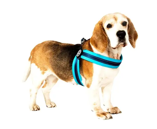 Harness Max & Molly Q-Fit - Matrix Red/XS Harness Max & Molly Q-Fit - Matrix Red/XS