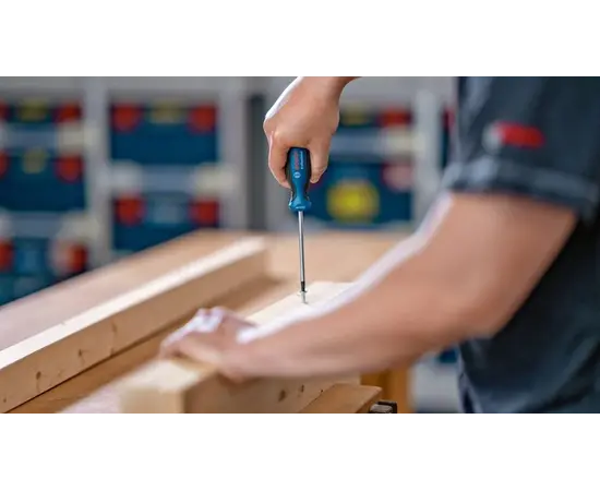 სახრახნისი Bosch 1600A01V0C TX20x100