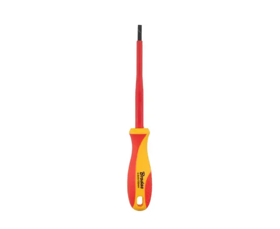 სახრახნისი ბრტყელი BRADAS DIY-SL1130100-V SL3х100