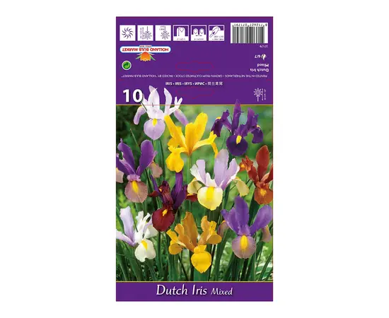 ბოლქვოვანი HBM BEST BUY CAPPERLINE BES Dutch Iris Mixed (x10) ბოლქვოვანი HBM BEST BUY CAPPERLINE BES Dutch Iris Mixed (x10)