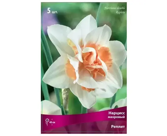 ბოლქვოვანი HBM SUPER BUDGET CAPPER BUD Narcissus Replete (x2) ბოლქვოვანი HBM SUPER BUDGET CAPPER BUD Narcissus Replete (x2)