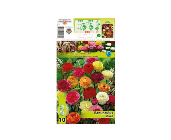 ბოლქვოვანი HBM STA Ranunculus Mixed (x10) ბოლქვოვანი HBM STA Ranunculus Mixed (x10)