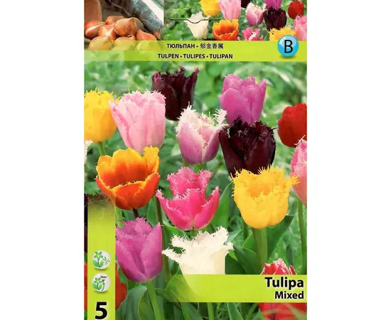 Bulbous HBM STA Tulipa Fringed Mixed (x5)