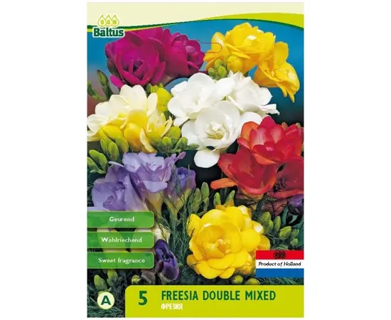 Луковица фрезия HBM freesia double mixed 8 шт Луковица фрезия HBM freesia double mixed 8 шт