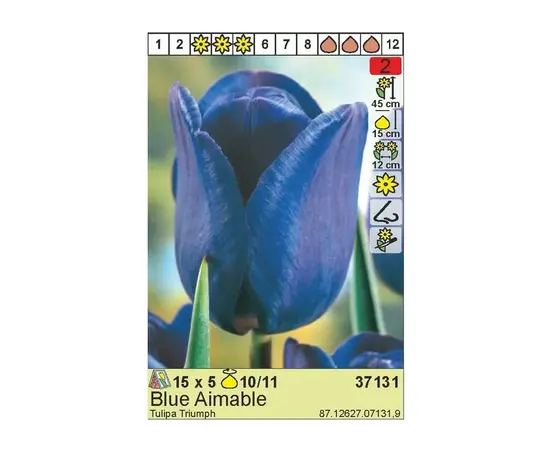 ბოლქვოვანი HBM BES Tulipa Bleu Amaible (x5) ბოლქვოვანი HBM BES Tulipa Bleu Amaible (x5)