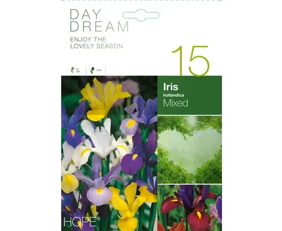 Bulbous HBM DAY Iris Hollandica Mixed (x15)