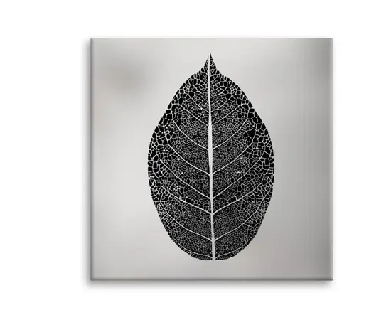 Picture on canvas Styler Silver Leaf EX520 65X65 cm Picture on canvas Styler Silver Leaf EX520 65X65 cm