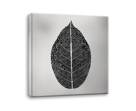 Picture on canvas Styler Silver Leaf EX520 65X65 cm Picture on canvas Styler Silver Leaf EX520 65X65 cm