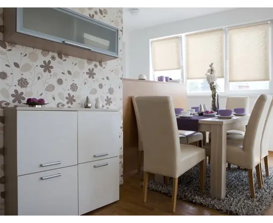 Roller shade Delfa СРШ-01МЭ-834 73x160 cm