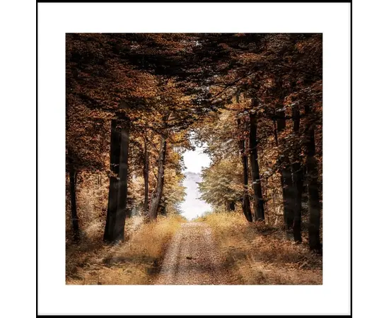 Picture in a frame Styler AB188 BROWN FOREST 50X50 Picture in a frame Styler AB188 BROWN FOREST 50X50