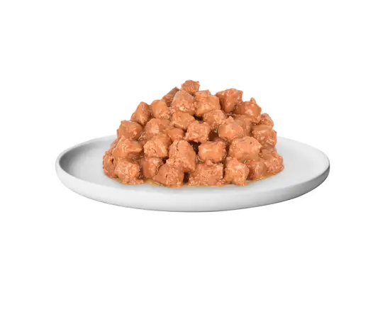 კონსერვი კატის Quik ორაგული და კრევეტები 415გრ