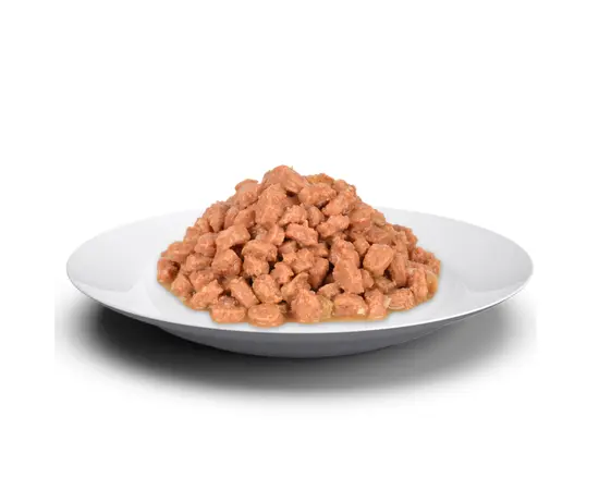 Wet food for cats Jungle chicken 100gr Wet food for cats Jungle chicken 100gr