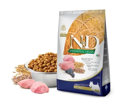 Dog food Farmina N&D Ancestral Grain Adult Mini lamb and blueberries 2.5 kg Dog food Farmina N&D Ancestral Grain Adult Mini lamb and blueberries 2.5 kg
