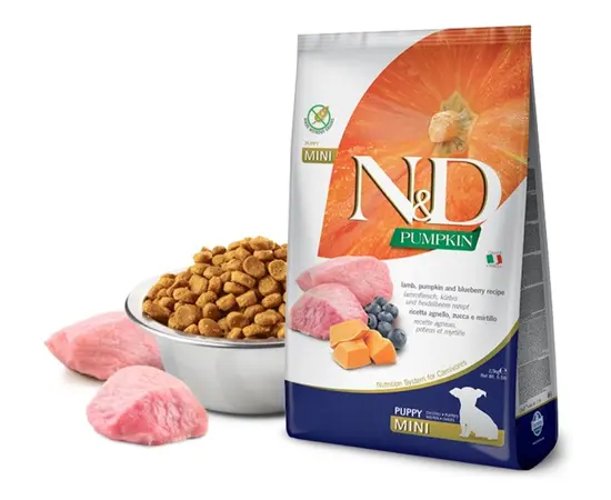 Dog food Farmina N&D Pumkin Puppy Mini lamb and blueberries 2.5 kg Dog food Farmina N&D Pumkin Puppy Mini lamb and blueberries 2.5 kg