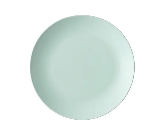 Тарелка обеденая CSSY001 26.5 см