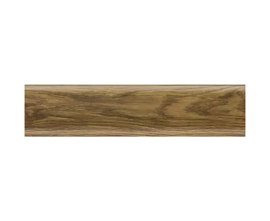 Plinth Salag NGF Old oak wood 56х2500 mm