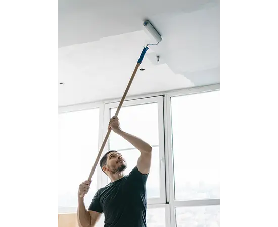 საღებავი ინტერიერის Magnat Non-Reflex 2.5 ლ