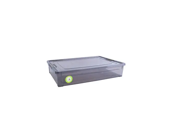 კონტეინერი Aleana Smart Box 5,5ლ ყავისფერი