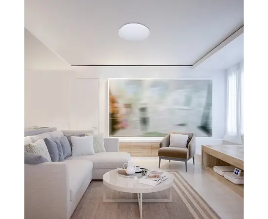 Ceiling lamp Rabalux Cerrigen 24W 3000 6500K Ø310 H55 RGB gray white 71035 Ceiling lamp Rabalux Cerrigen 24W 3000 6500K Ø310 H55 RGB gray white 71035