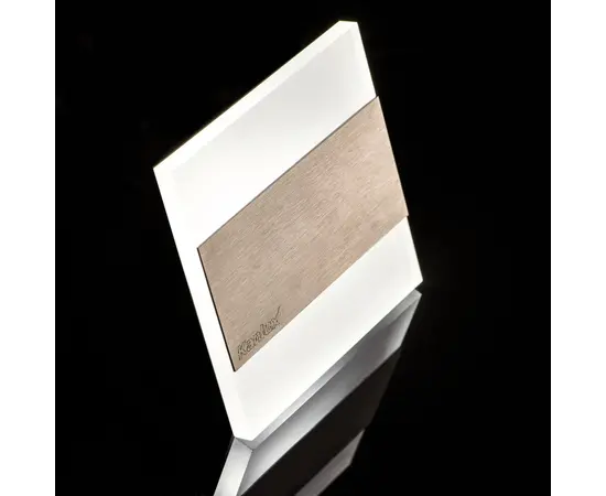 Светильники ступеней Kanlux 23102 TERRA LED 0,8W 6500K 12V WW