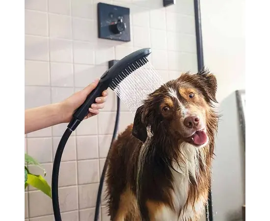 საშხაპე ყურმილი ძაღლებისათვის Hansgrohe 26640670 საშხაპე ყურმილი ძაღლებისათვის Hansgrohe 26640670