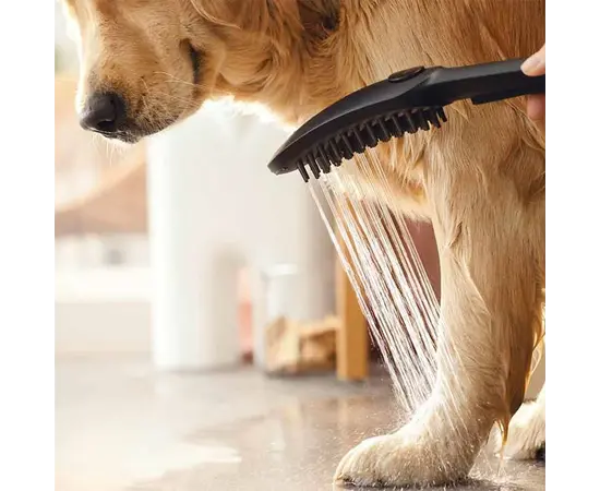 საშხაპე ყურმილი ძაღლებისათვის Hansgrohe 26640670 საშხაპე ყურმილი ძაღლებისათვის Hansgrohe 26640670