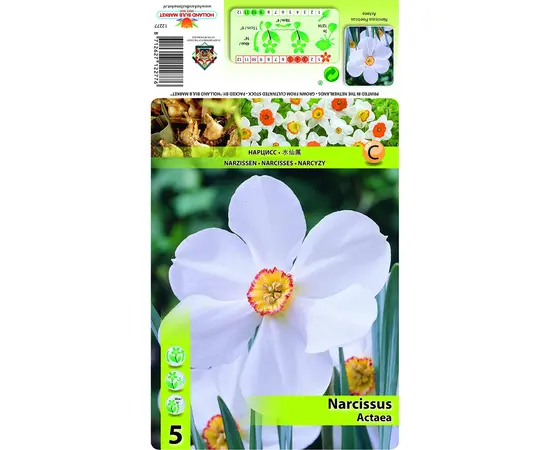 ბოლქვოვანი HBM STAR CAPPERLINE STA Narcissus Actaea (x5) ბოლქვოვანი HBM STAR CAPPERLINE STA Narcissus Actaea (x5)