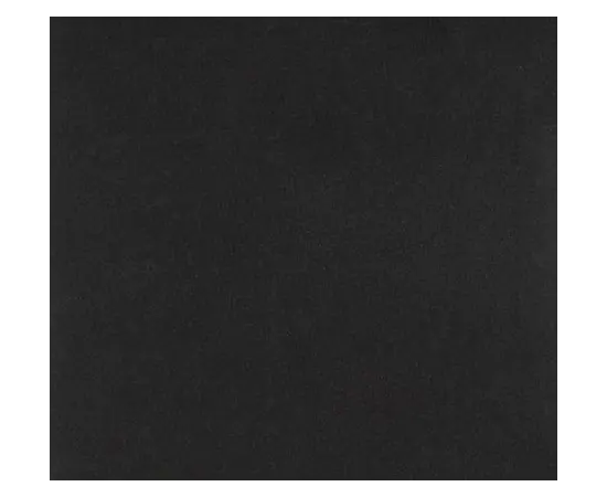 Ковролин Orotex CARRERA GR 2021 ZWART 2 м Ковролин Orotex CARRERA GR 2021 ZWART 2 м