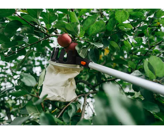 Инструмент для сбора фруктов телескопический Bradas KT-V1531-375 3.75 м Инструмент для сбора фруктов телескопический Bradas KT-V1531-375 3.75 м