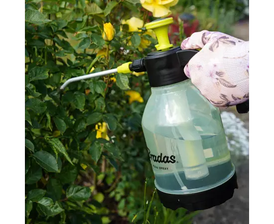 სასხურებელი ხელის Bradas 2 ლ  AQUA SPRAY 360° AS0200CL სასხურებელი ხელის Bradas 2 ლ  AQUA SPRAY 360° AS0200CL