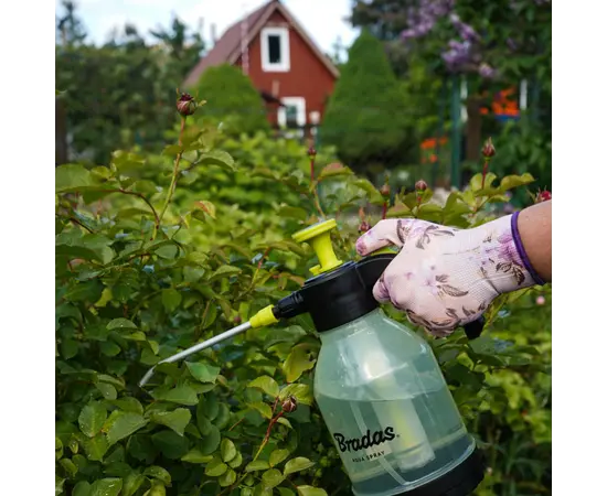 სასხურებელი ხელის Bradas 2 ლ  AQUA SPRAY 360° AS0200CL სასხურებელი ხელის Bradas 2 ლ  AQUA SPRAY 360° AS0200CL