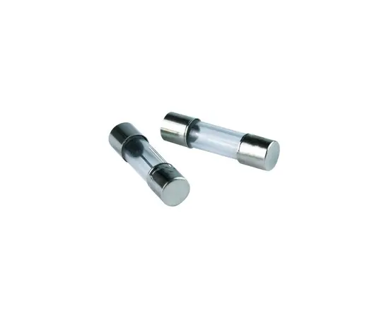 Fuse DPM 1A 2pcs