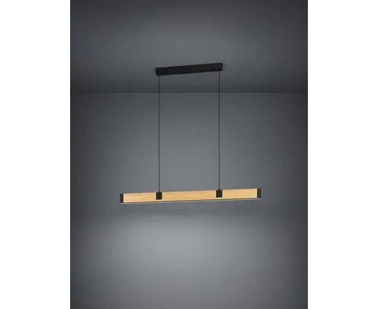 Подвес Eglo 390225 CAMINARRO LED черный