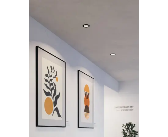 შეკიდული ჭერის სანათი Eglo 900764 CAROSSO RGB შავი