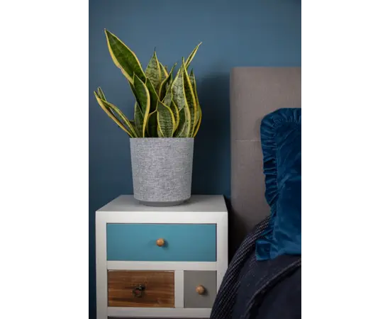 ქოთანი ყვავილის Lamela GAMA 300 textil 16ლ ბეჟი ქოთანი ყვავილის Lamela GAMA 300 textil 16ლ ბეჟი