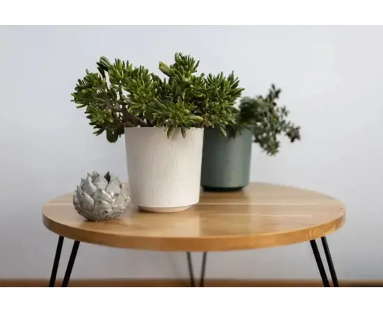 ქოთანი ყვავილის Lamela GAMA 300 textil 16ლ მწვანე ქოთანი ყვავილის Lamela GAMA 300 textil 16ლ მწვანე