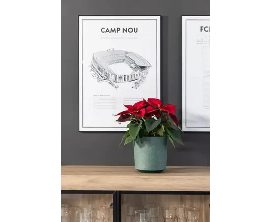 ქოთანი ყვავილის Lamela GAMA 300 textil 16ლ მწვანე ქოთანი ყვავილის Lamela GAMA 300 textil 16ლ მწვანე