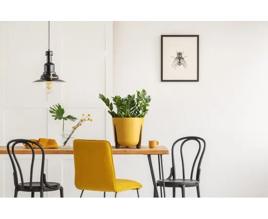 ქოთანი ყვავილის Lamela FRIDA 260 ყვითელი ქოთანი ყვავილის Lamela FRIDA 260 ყვითელი