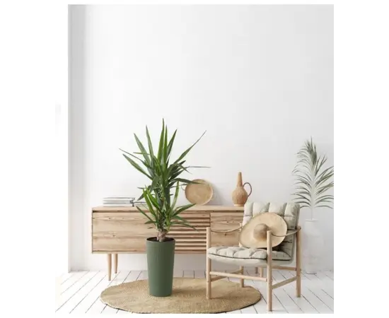 ქოთანი ყვავილის Lamela LILIA ECO 250 jumper 9,5ლ მწვანე ქოთანი ყვავილის Lamela LILIA ECO 250 jumper 9,5ლ მწვანე