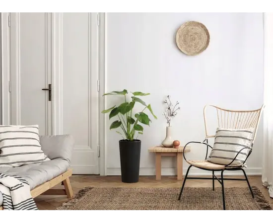 ქოთანი ყვავილის Lamela LILIA ECO 250 jumper 9,5ლ ანტრაციტი ქოთანი ყვავილის Lamela LILIA ECO 250 jumper 9,5ლ ანტრაციტი