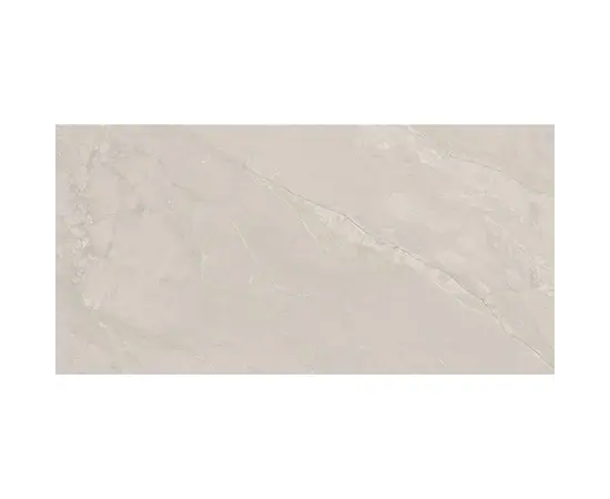 Керамогранит Emotion Ceramics 60X120 P CALLAS GREY MAT 9,5 R PRI Керамогранит Emotion Ceramics 60X120 P CALLAS GREY MAT 9,5 R PRI