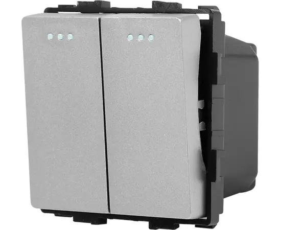 Switch Socket Style 2 2G-2W gray